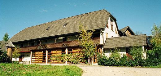 Guest House Turisticna Kmetija Plaznik Ljubno Exterior foto